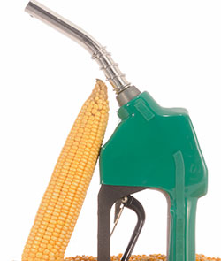 Ear of corn and gas pump nozzle