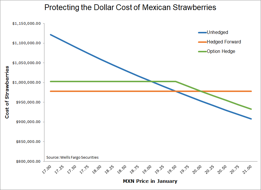 Protecting the Dollar Cost of Mexican Strawberries