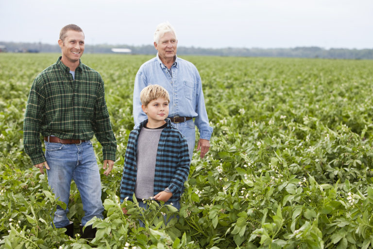 Two men and a kid standing on a farm looking away